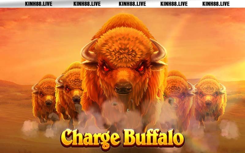 Nổ hũ Charge Buffalo - chủ đề bò rừng Bắc Mỹ